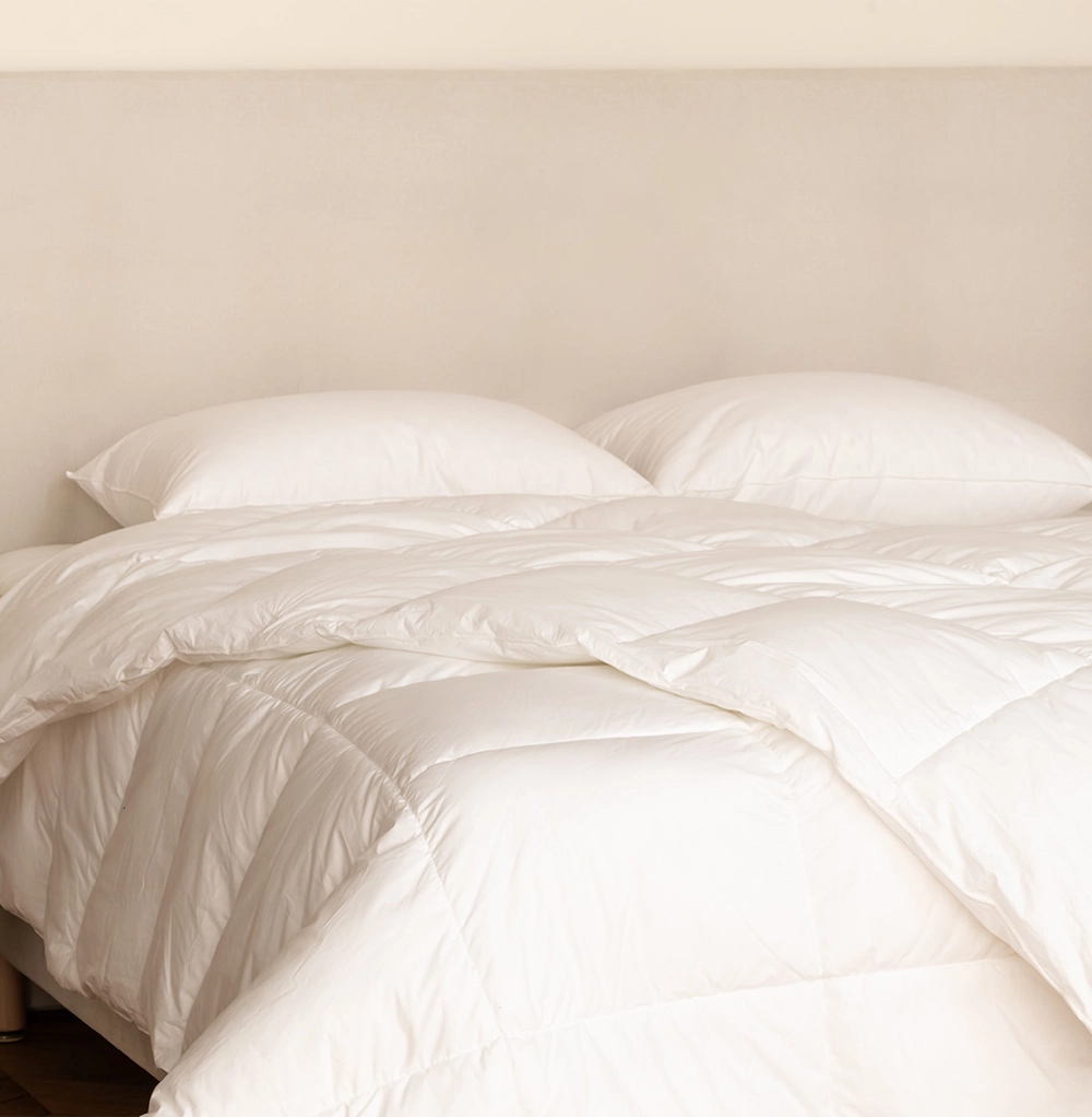 Pillows & Duvet Sets